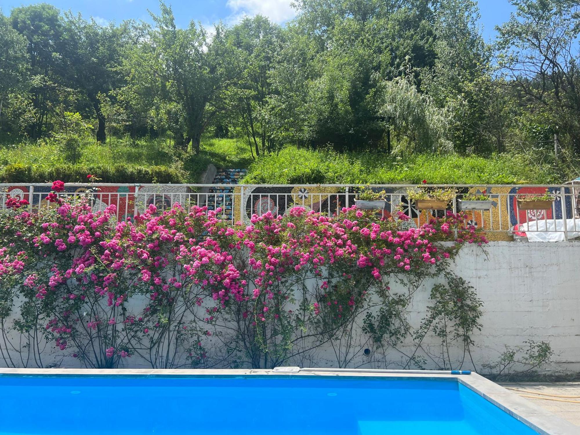 Villa Dilijan Duplex Extérieur photo
